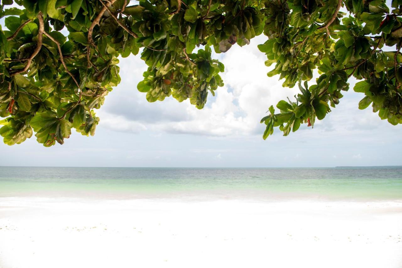 Uroa Beach Lodge Eksteriør bilde